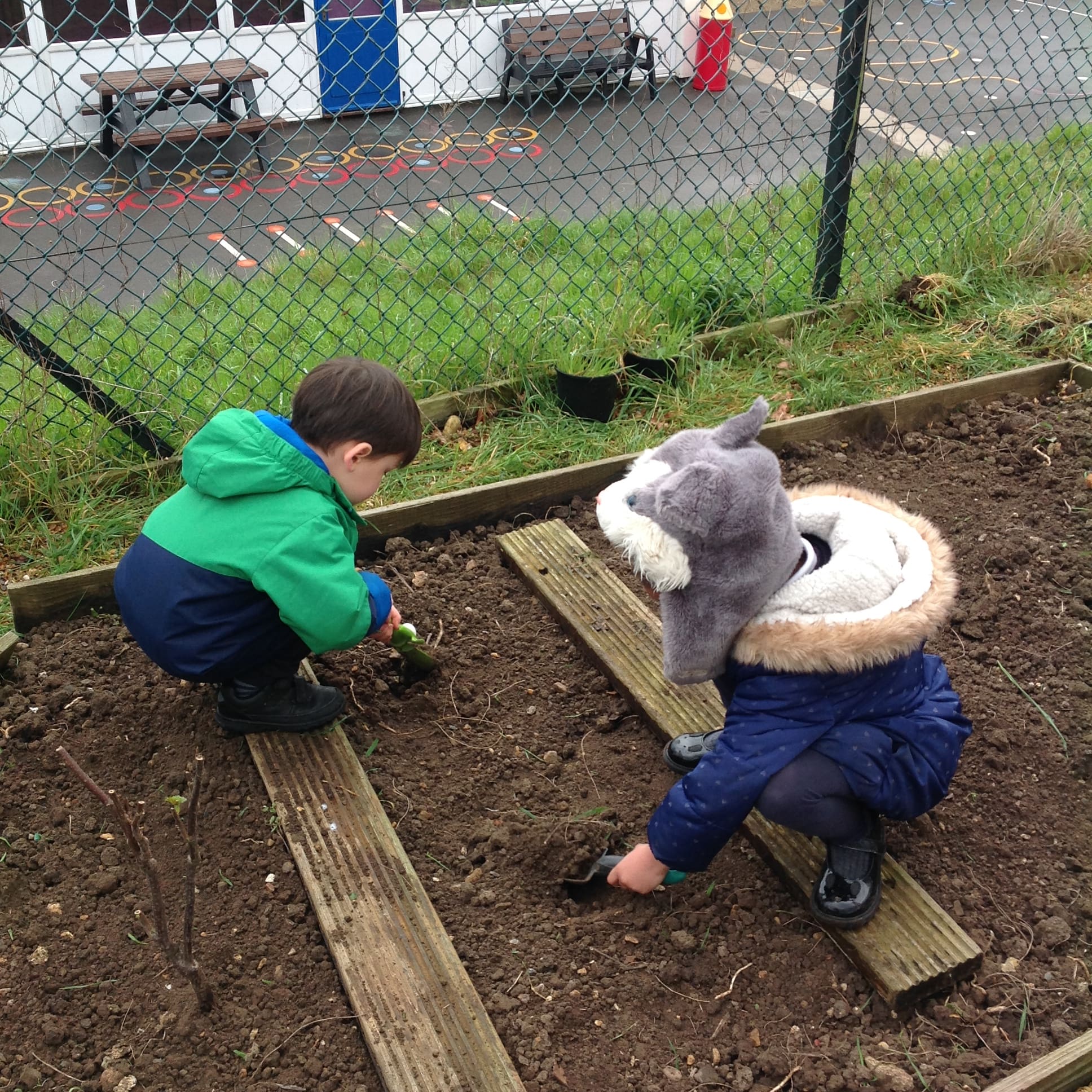 Planting Seeds
